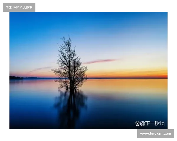 理解灵魂的气息与深刻的自我对话,让内心宁静与平和在生活中绽放 理解灵魂的气息与深刻的自我对话,让内心宁静与平和在生活中绽放