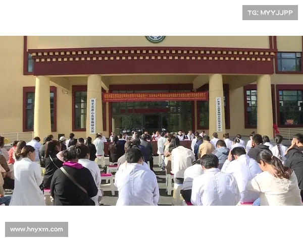 高原地区社会工作服务的创新实践与可持续发展策略研究